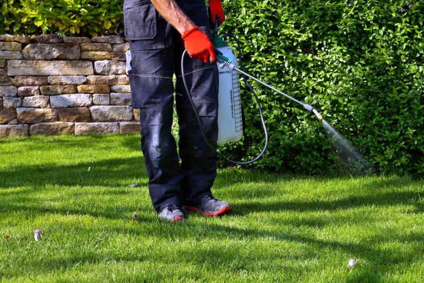 Lawn Treatments, Landscaping, Lawn Care, and Mowing in Waverly Ohio